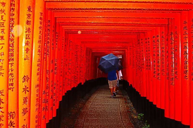 Kyoto Private Tour - Fushimi Inari Shrine. Senbontorii. "A thousand torii gates" literally.