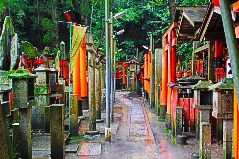 Kyoto Private Tour - Fushimi Inari Shrine. quiet and serene.