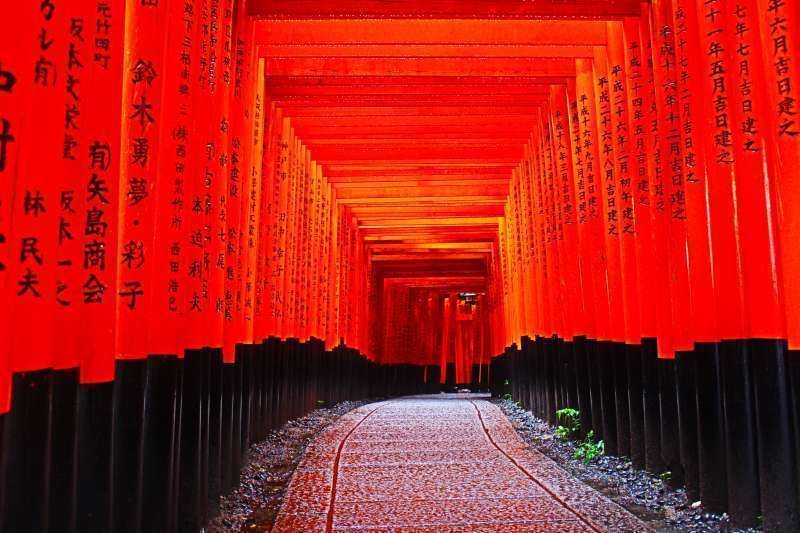 Kyoto Private Tour - Fushimi Inari Shrine. Senbontorii. "A thousand torii gates" literally. shows different faces depend on a time of the day.