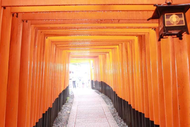 Kyoto Private Tour - Fushimi Inari Shrine.