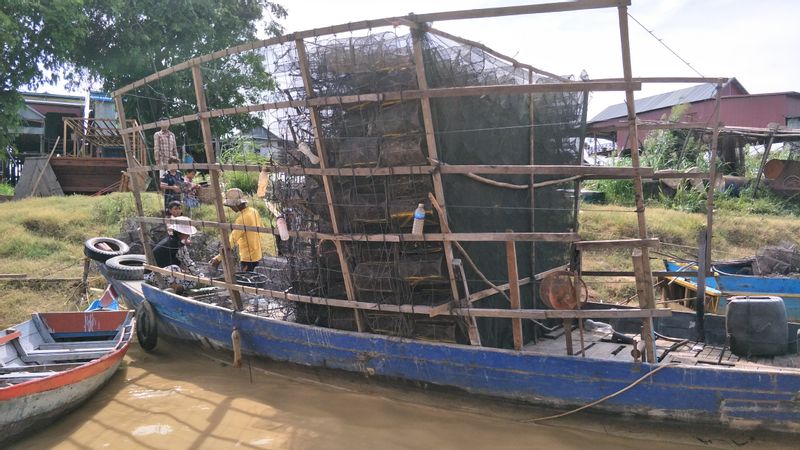 Siem Reap Private Tour - null