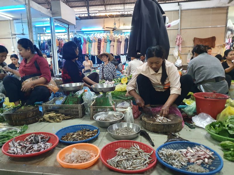 Siem Reap Private Tour - local market 