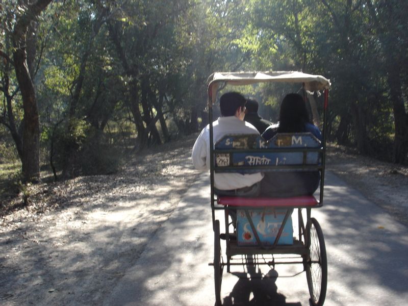 Delhi Private Tour - Wildlife by Bicycle rickshaw