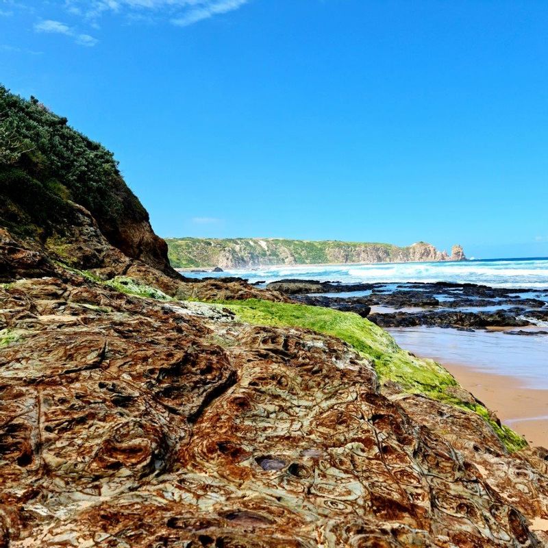 Melbourne Private Tour - Beautiful rock colours on the surf beach