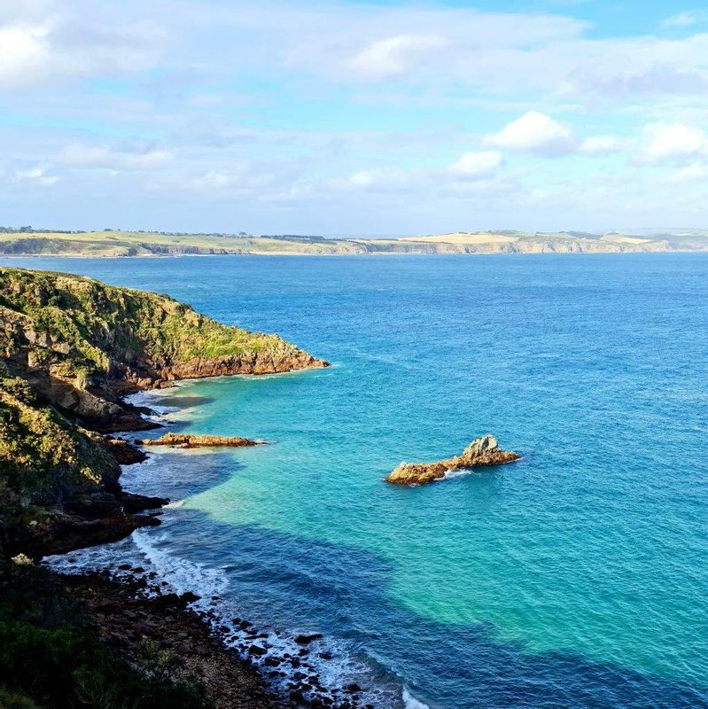 Melbourne Private Tour - Gull Island