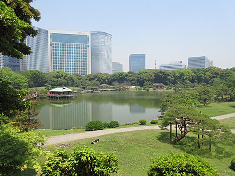 Tokyo Private Tour - Hamarikyuu Japanese Garden