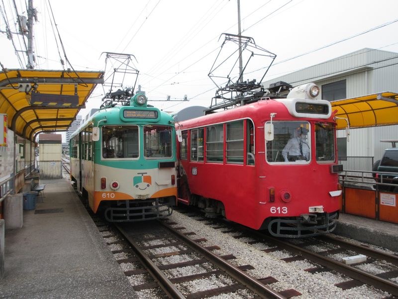 Kochi Private Tour - Street Cars