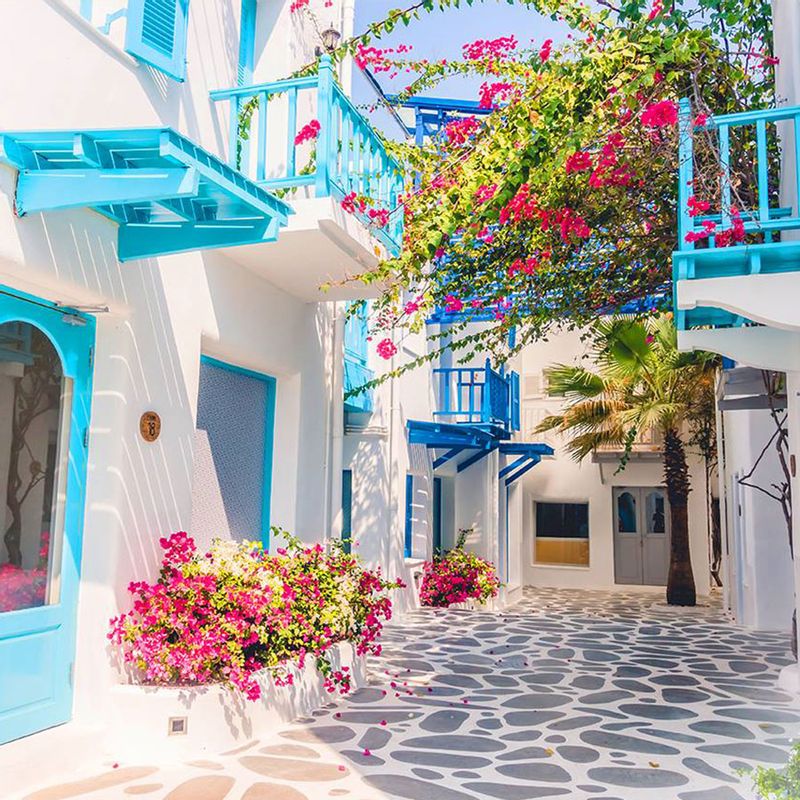 Tunis Private Tour - Sidi bou said colors