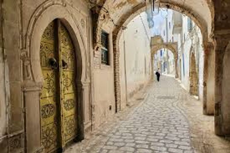 Tunis Private Tour - null