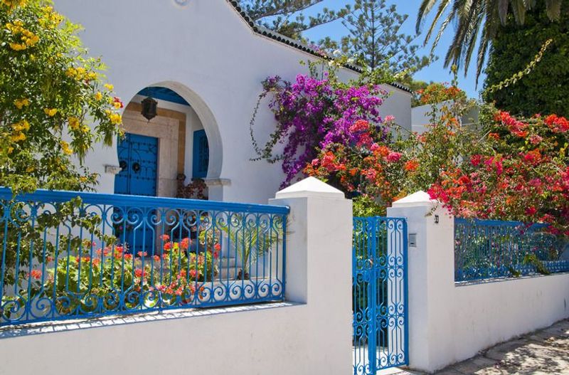 Tunis Private Tour - Sidi bou said house