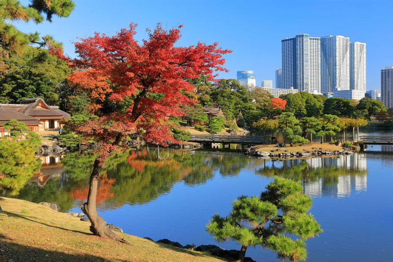 Tokyo Private Tour - Hamarikyuu Japanese garden, coloured leaves