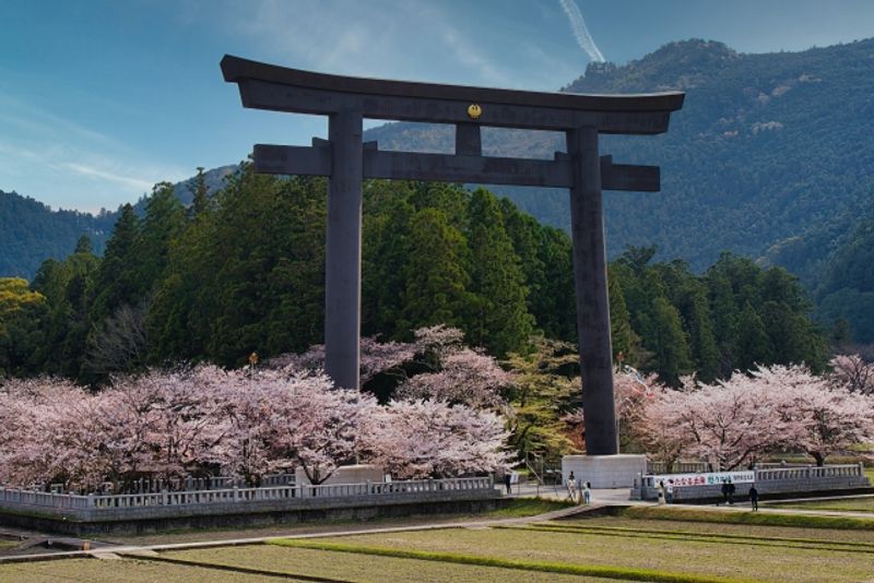 Kumano Private Tour - 