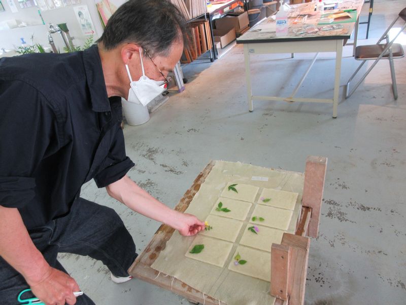 Kochi Private Tour - Tosa Washi ( Japanese paper ) Making