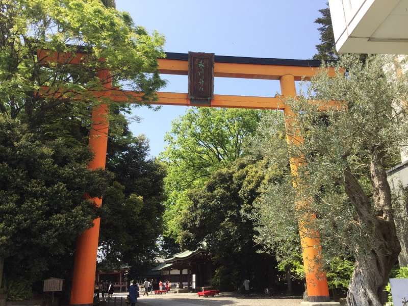 Saitama Private Tour - Big Torii Gate of Hikawa Shrine 