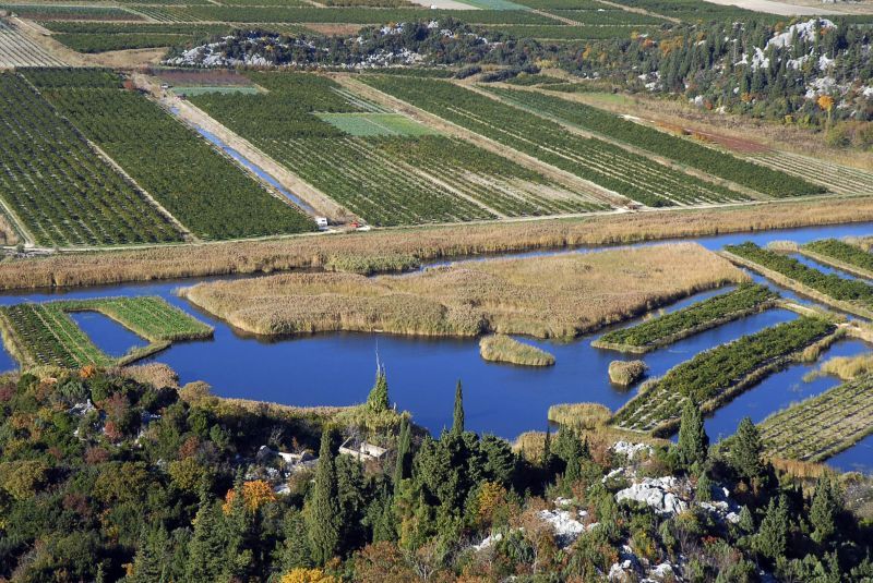 Split Private Tour - Neretva fruit lands in Croatia 