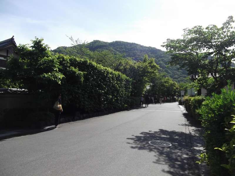 Kyoto Private Tour - Approach to Tenryuji temple in Arashiyama. Greenery is especially attractive.