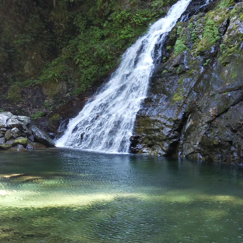 Kochi Private Tour - Hiryu Waterfall in Yasui Gorge