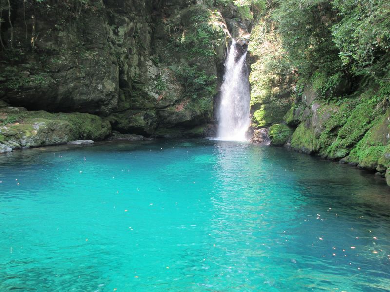 Kochi Private Tour - Nikobuchi, a waterfall plunge pool