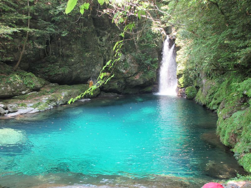 Kochi Private Tour - Nikobuchi, a waterfall plunge pool