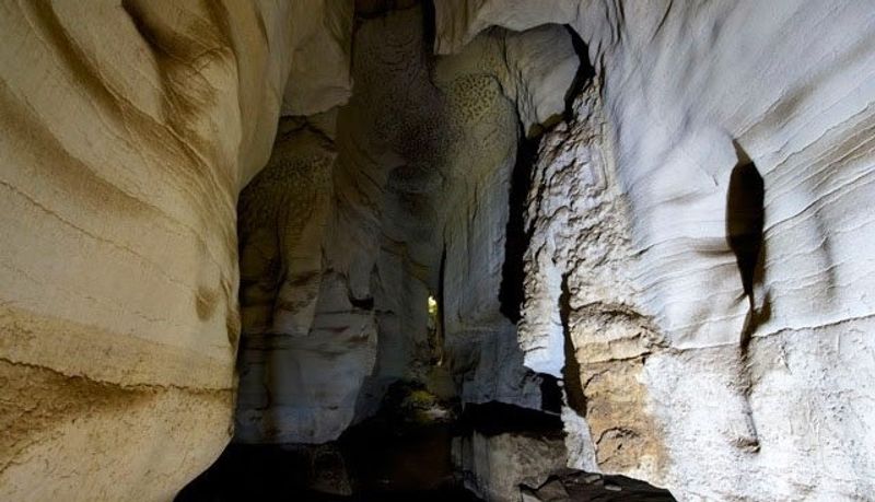 Dar es Salaam Private Tour - Amboni cave its has been under water for 20millions years age. 