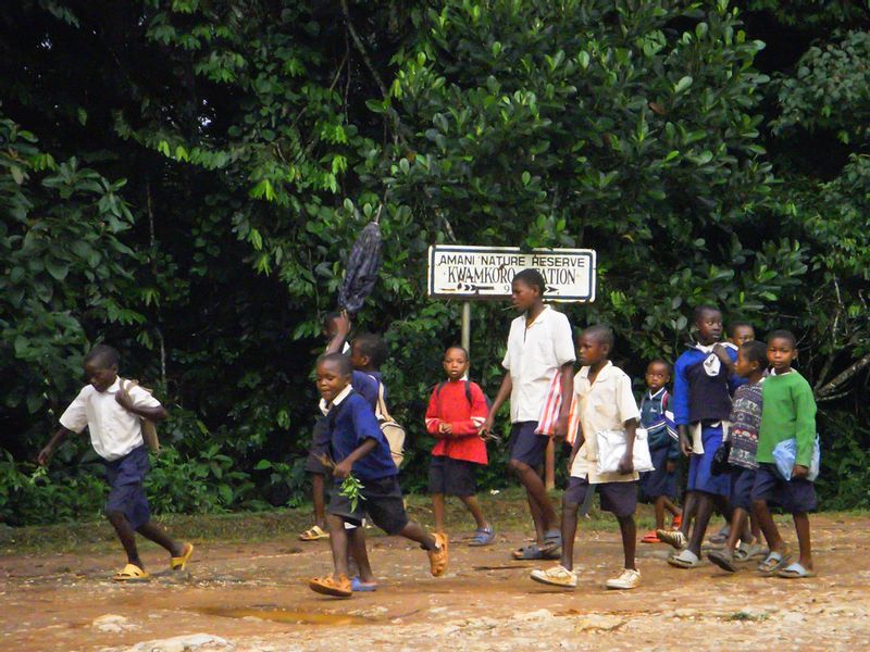 Dar es Salaam Private Tour - Amani local school