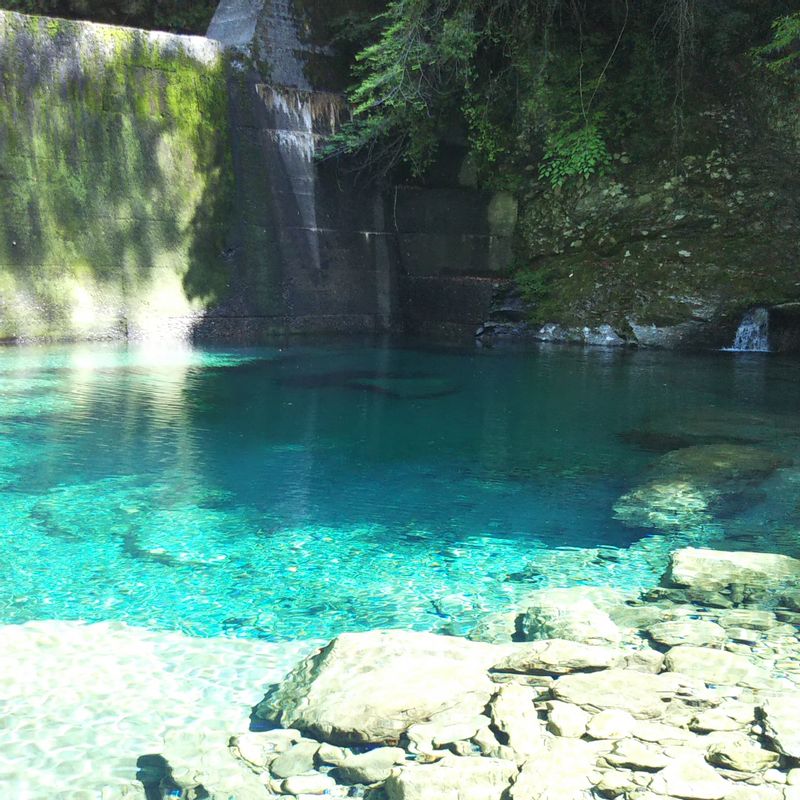 Kochi Private Tour - Yasui Gorge