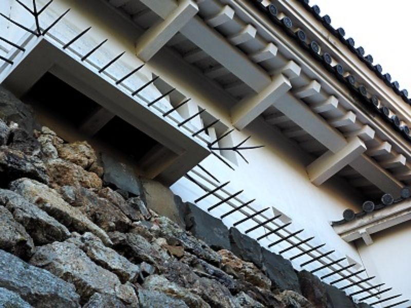 Kochi Private Tour - Kochi Castle