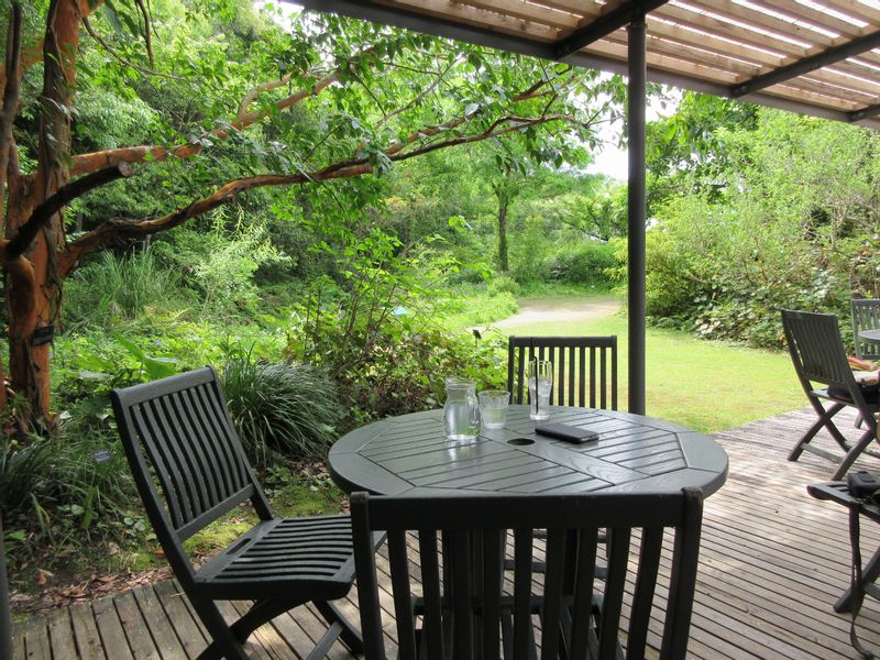 Kochi Private Tour - the patio of the restaurant in Makino Botanical Garden