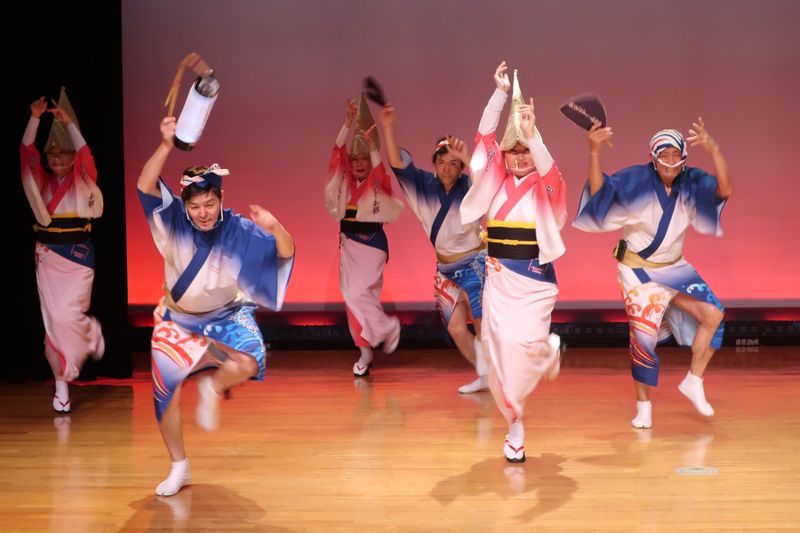 Tokushima Private Tour - Awa Odori 