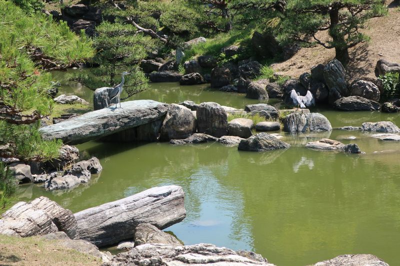 Tokushima Private Tour - Tokushima Castle Omote-Goten Garden