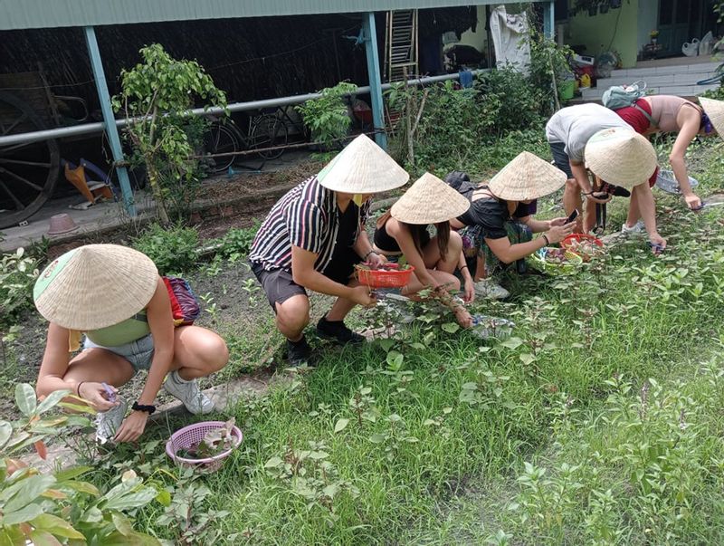 Ho Chi Minh Private Tour - pick up vietnamese basil