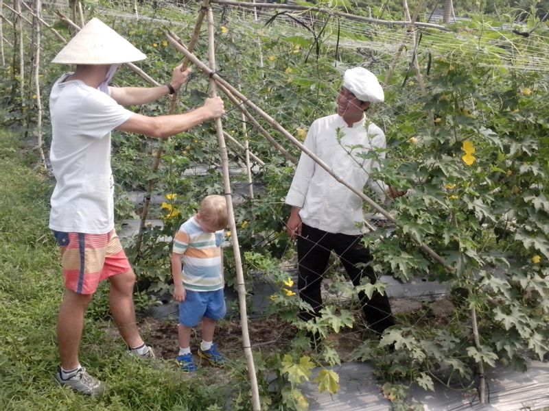 Ho Chi Minh Private Tour - VISISTING BITTER MELON