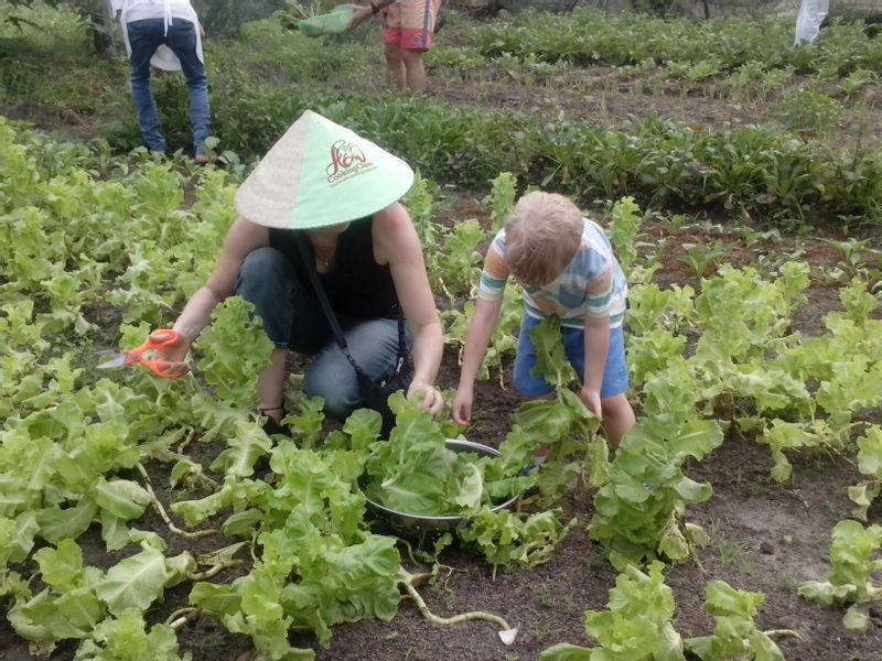 Ho Chi Minh Private Tour - COLLECTING VEGETABLES 