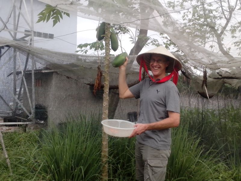 Ho Chi Minh Private Tour - COLLECTING PAPAYA