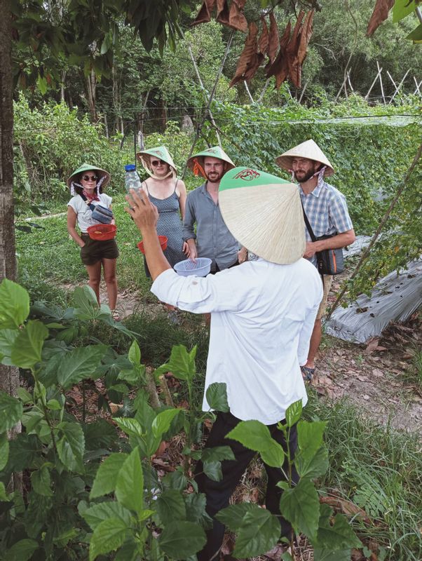 Ho Chi Minh Private Tour - explaining medicine from the plants 