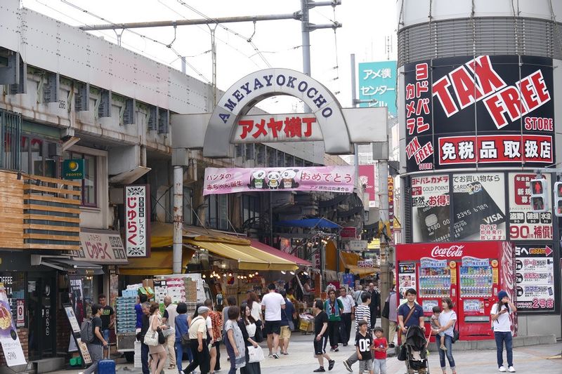 Tokyo Private Tour - Ueno shopping street