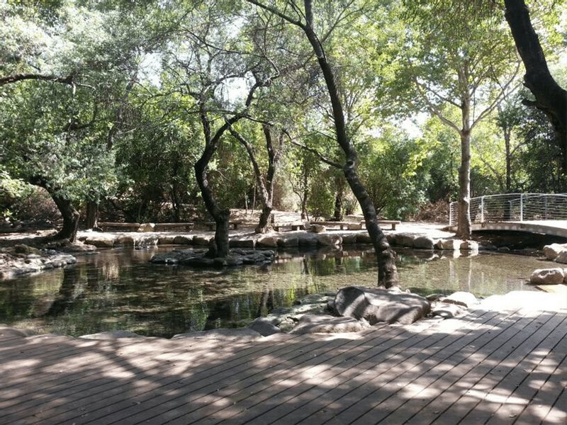 Galilee Private Tour - Freshening water pool at Dan