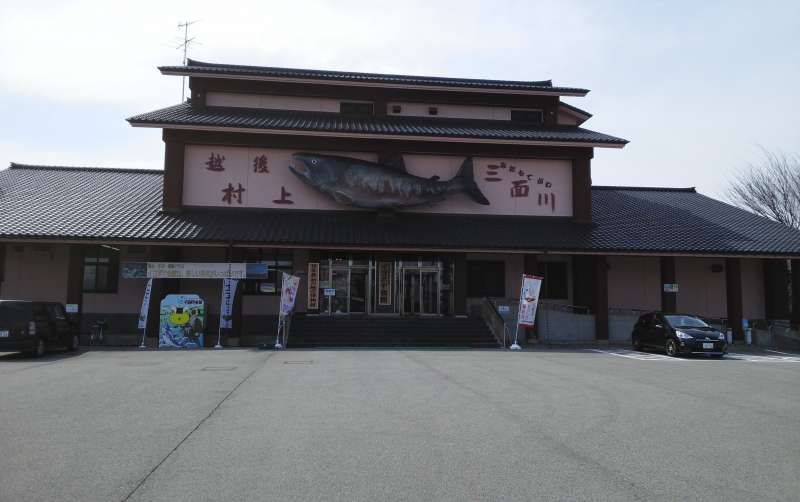 Niigata Private Tour - Iyoboya Kaikan ( salmon museum)