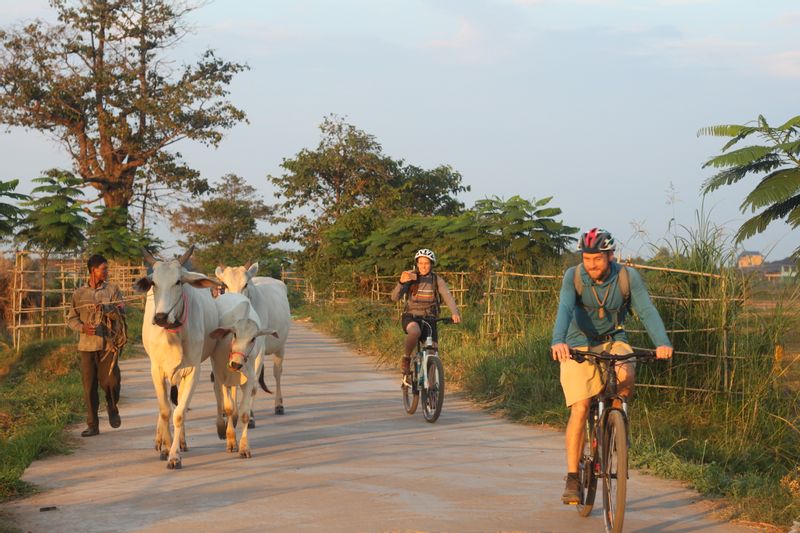 Phnom Penh Private Tour - Cycle through countryside and farmland 