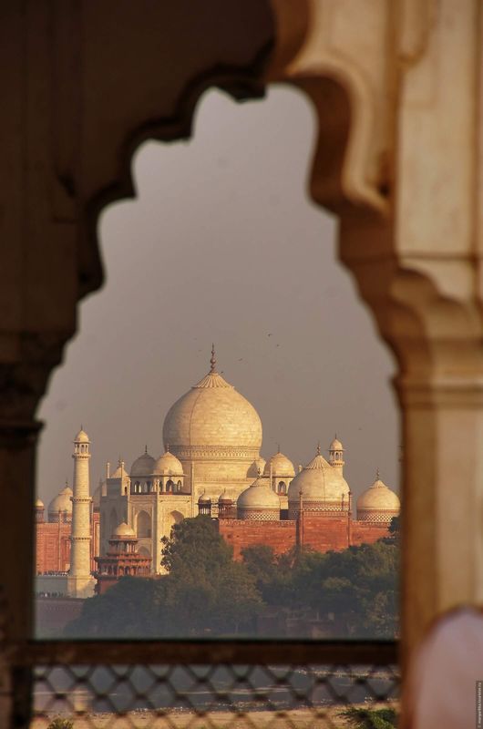 Delhi Private Tour - null