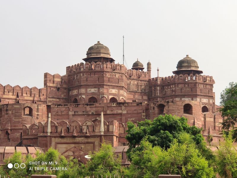 Delhi Private Tour - null