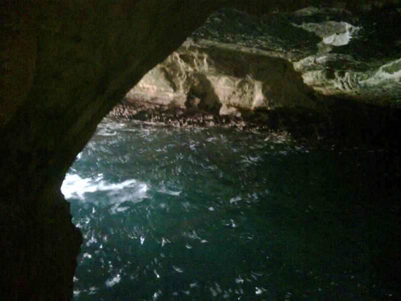 Galilee Private Tour - Rosh Ha-Nikra Caves