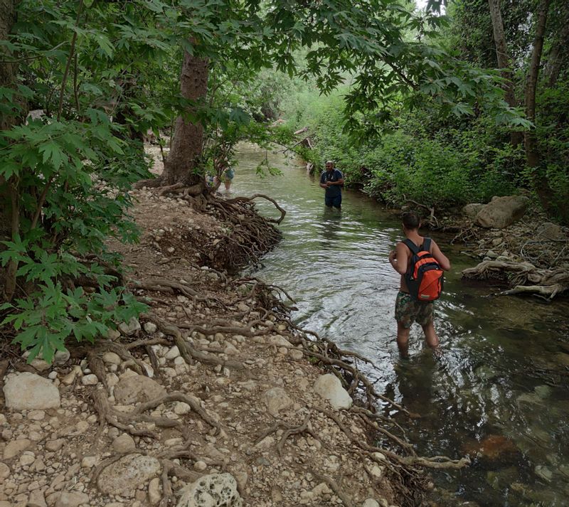 Galilee Private Tour - Hardalit Spring