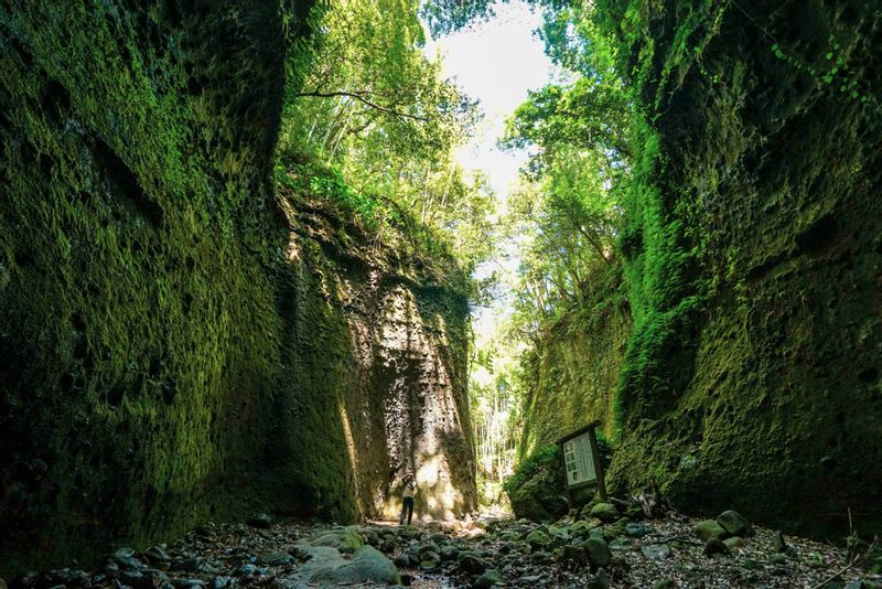 Kochi Private Tour - Ioki Cave