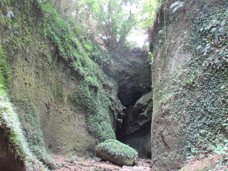 Kochi Private Tour - Ioki Cave