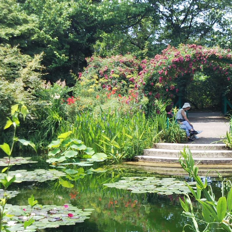 Kochi Private Tour - Monet’s Garden in Kitagawa Village