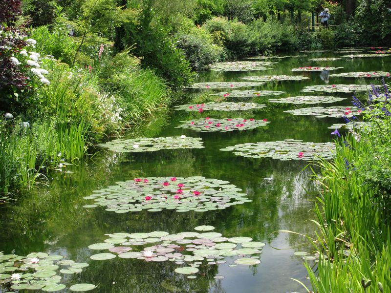 Kochi Private Tour - Monet’s Garden in Kitagawa Village