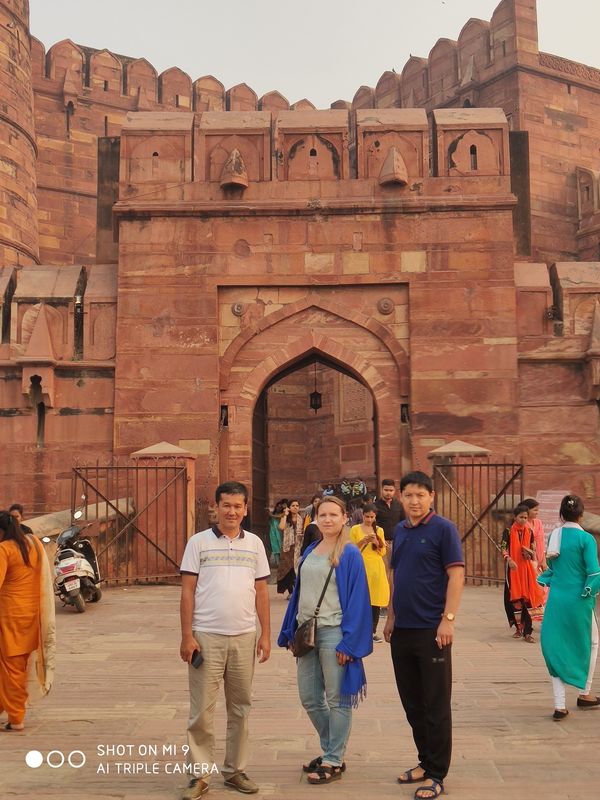 Delhi Private Tour - null