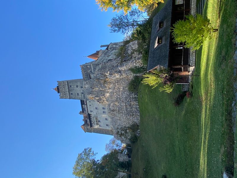 Bucharest Private Tour - Bran castle by day