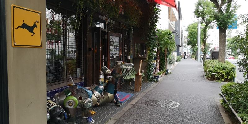 Tokyo Private Tour - Trendy shops in Daikanyama